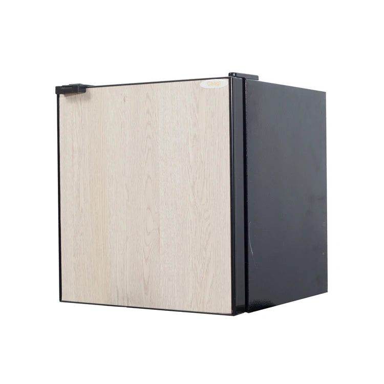 New 50L Portable Fridge Mini Size Single Door Refrigerator Mini Fridge for RV